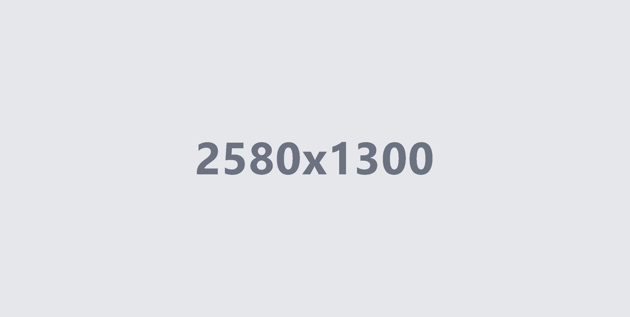 Project Details Hero